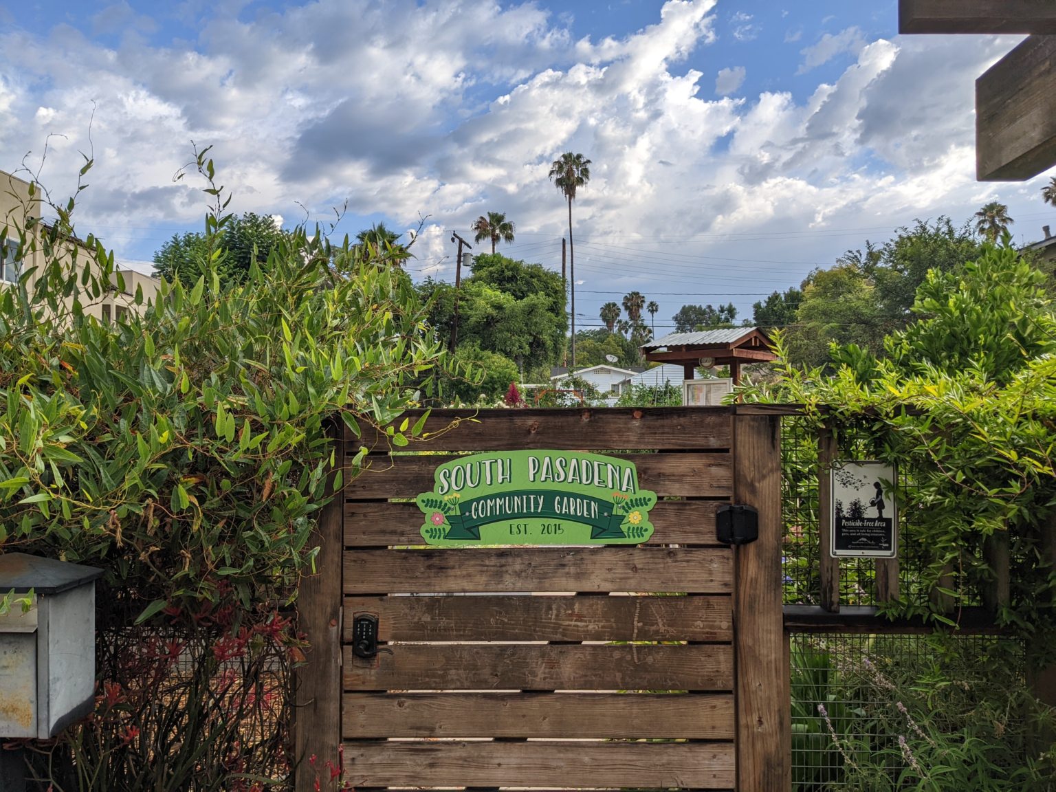 South Pasadena Community Garden | This Is A Happy Place